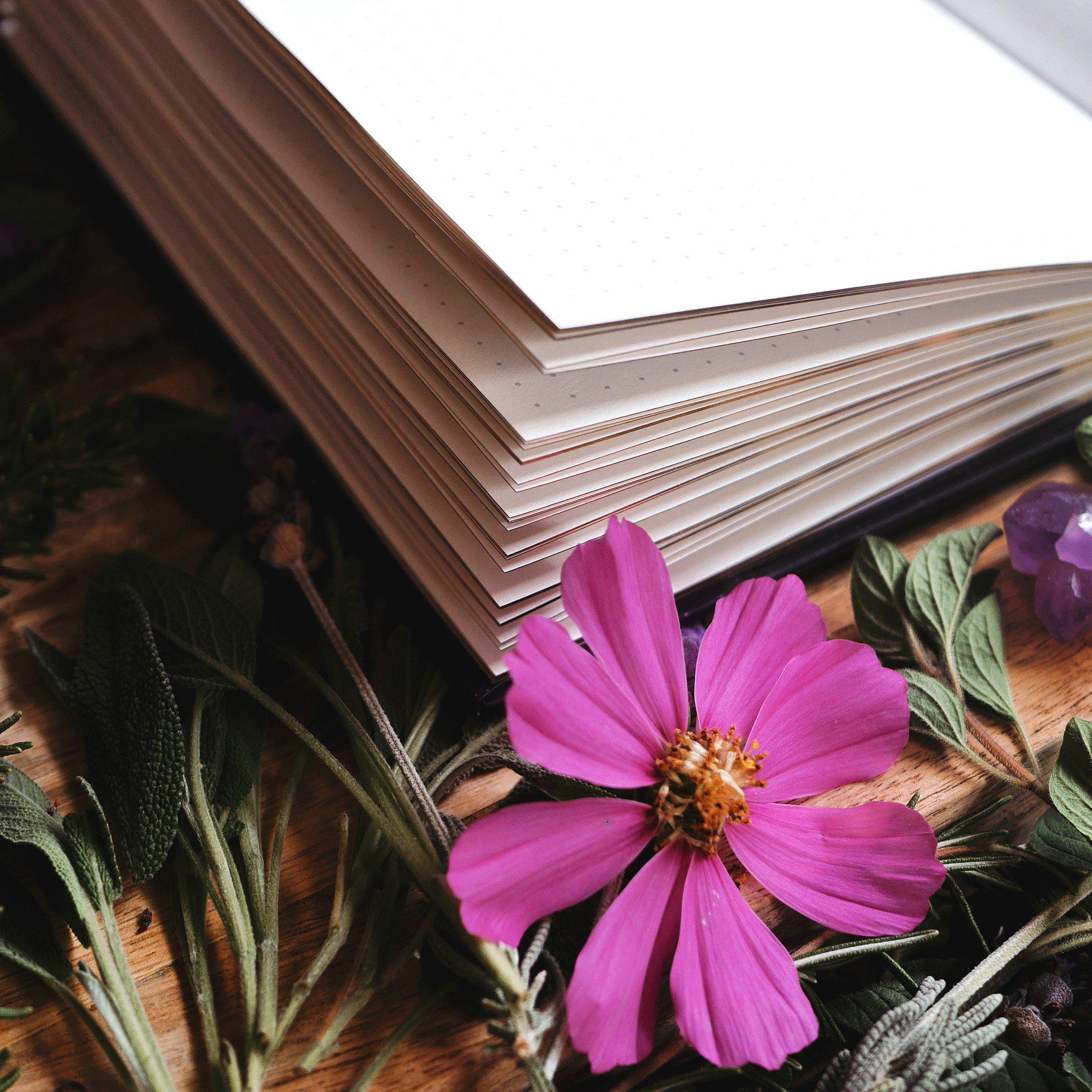 Made of Stars Journal-Notebook-The Quirky Cup Collective-Dotted-Blank-Lined-Notebook-180-pages-The Quirky Cup Collective