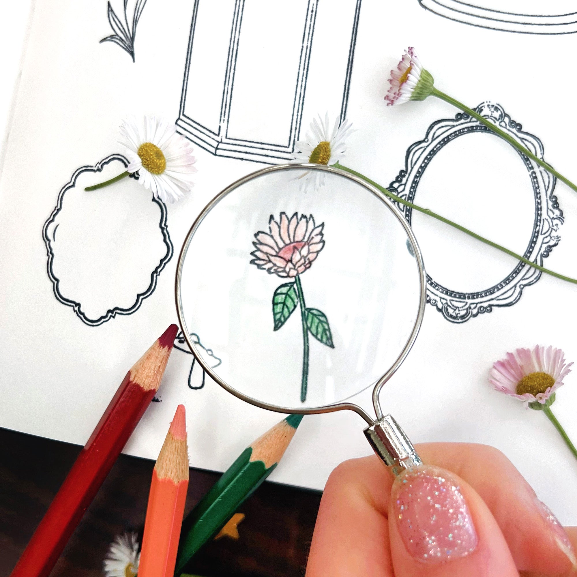 Frames and Florals Stamp Set - Rubber Stamps - The Quirky Cup Collective
