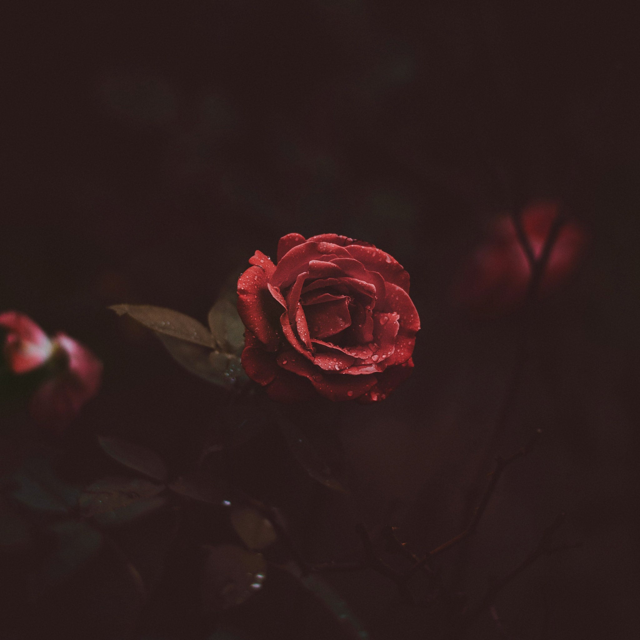 What the Trope? The Plotlines That Keep Us Hooked