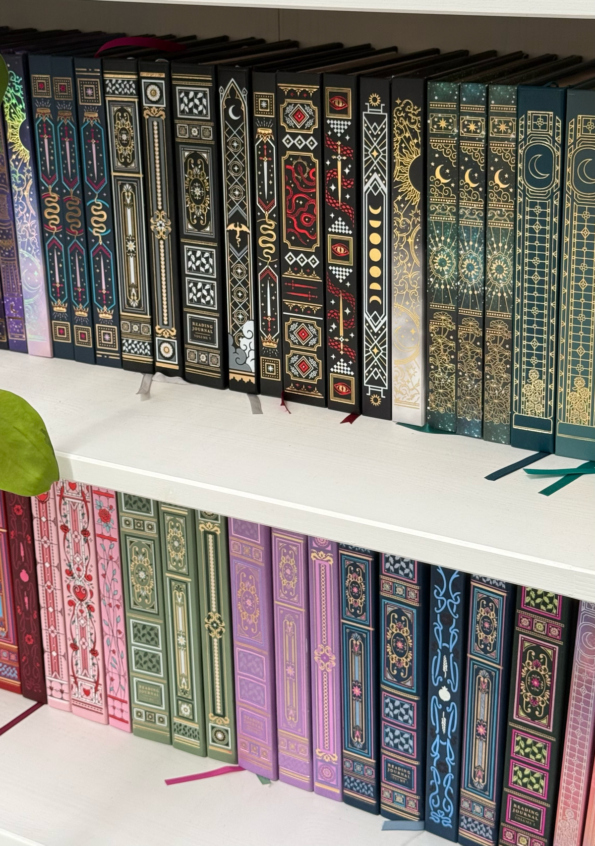 Shelf image showing the various Quirky Cup Collective range of foiled journals and dark romance reading journals.