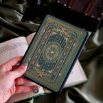 The sage green Literati eReader insert sticker stick to a back kindle. The foiled sticker features a victorian book inspired motif with an intricate design in shades of green, white and gold foil. A hand holds the Kindle in front of an open classical book on a light green fabric background.