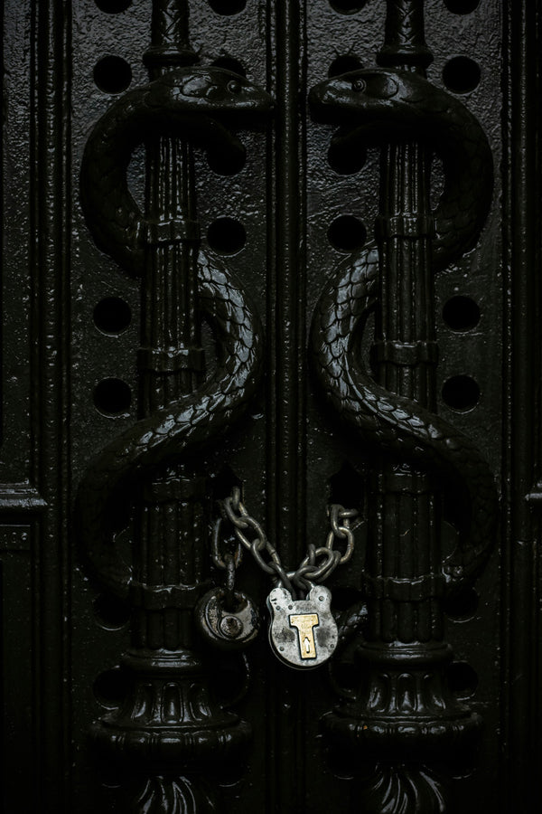 An inspiration image for The Quirky Cup Collective's 'Serpents and Swords'. collection. A dark wrought iron gate is locked, two snake motifs making the handles.